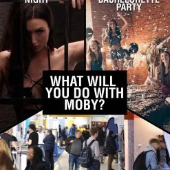 Master Cock Moby Huge 3 Foot Tall Super Dildo - Dildos & Strap-Ons