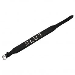 Strict Leather Studded Leather Slut Collar BDSM