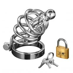 Master Series Asylum 6 Ring Locking Chastity Cage