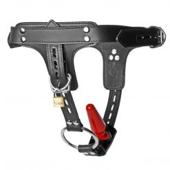 Strict Leather Dildos & Strap-Ons Premium Locking Leather Cock Ring And Anal Plug Harness