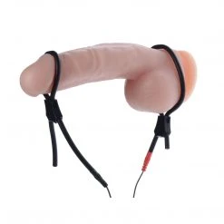 Zeus Electrosex Vigor II Cock And Ball Ties And Frenum Electro Stimulator