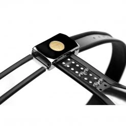 Master Series BDSM Stainless Steel Cock Entrapment Belt