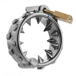 Master Series BDSM Impaler Locking CBT Ring With Spikes