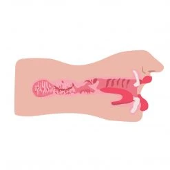 SexFlesh Sarahs Sexy Mouth Stroker Penis Pleasure