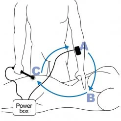 Zeus Electrosex Electric Wartenberg Wheel Estim Kit BDSM