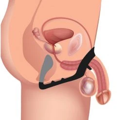 Prostatic Play Excursion Silicone Triple Stim Anal Plug With Cock And Ball Ring Penis Pleasure