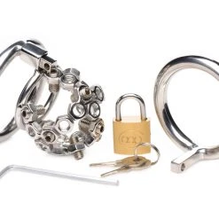 Master Series BDSM Bolted Chastity Cage With Spikes