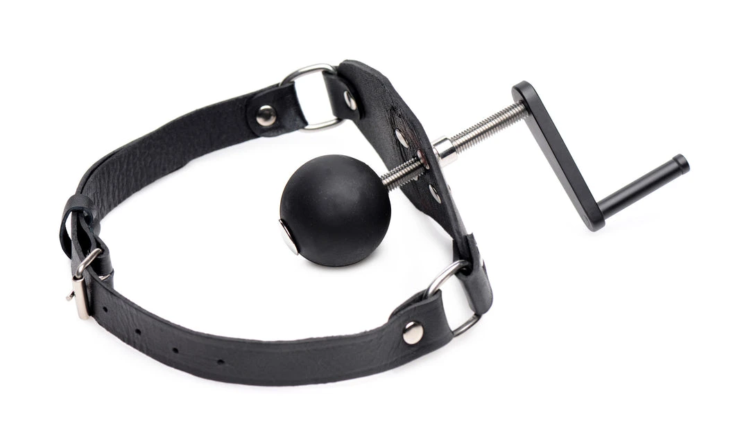 Master Series Crank Ball Gag BDSM 2 Master Series Crank Ball Gag BDSM