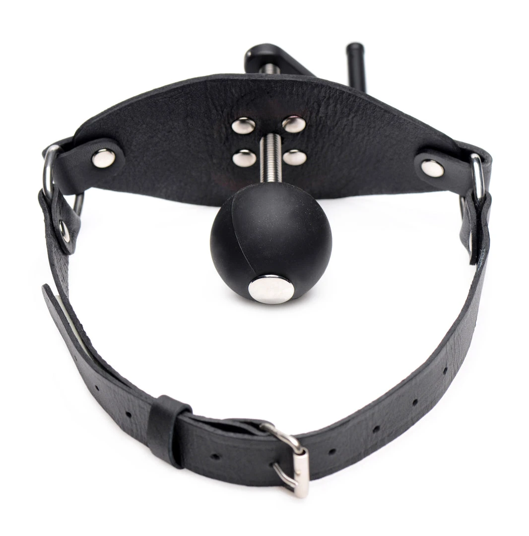 Master Series Crank Ball Gag BDSM 4 Master Series Crank Ball Gag BDSM