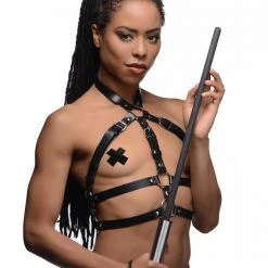 Master Series BDSM Command Impact Cane