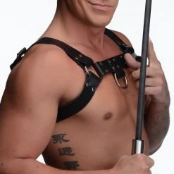 Master Series BDSM Command Impact Cane