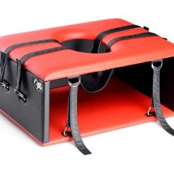 Master Series BDSM Queening Chair