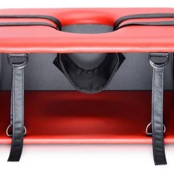 Master Series BDSM Queening Chair