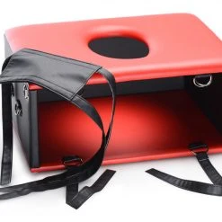 Master Series BDSM Queening Chair