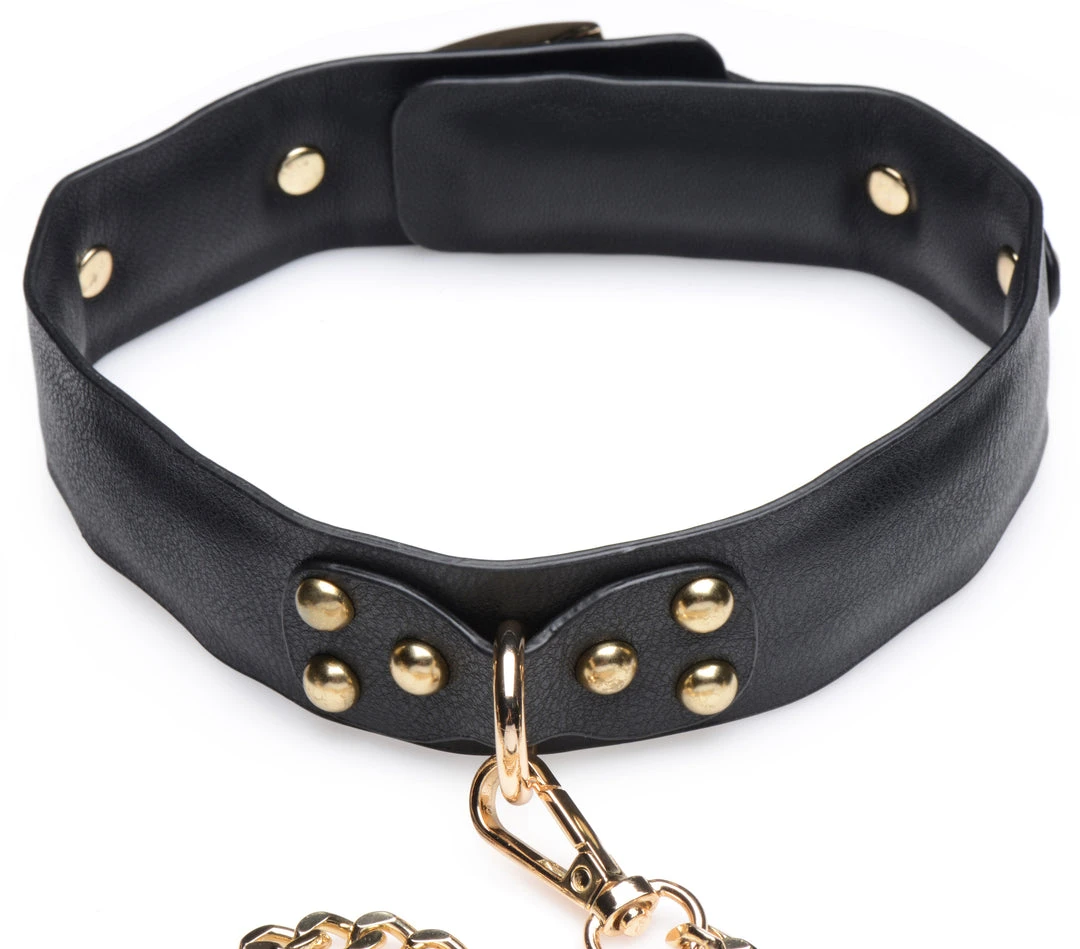 Master Series Gold Submission Bondage Kit BDSM 6 Master Series Gold Submission Bondage Kit BDSM