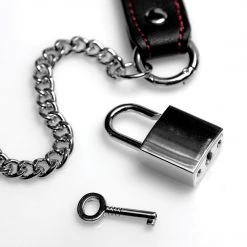 Master Series Kinky Clutch Bondage Set With Carrying Case