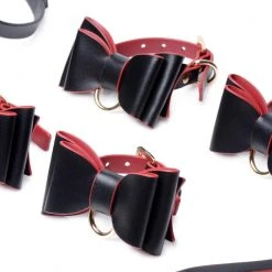 Master Series And Red Bow Bondage Set With Carry Case