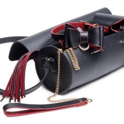 Master Series And Red Bow Bondage Set With Carry Case