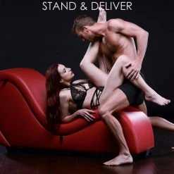 Master Series Kinky Couch Sex Chaise Lounge With Love Pillows -