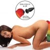 Tailz Interchangeable Rainbow Fox Tail Anal