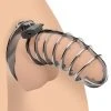 Master Series BDSM Stainless Steel Spiked Chastity Cage