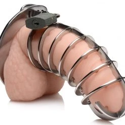 Master Series BDSM Stainless Steel Spiked Chastity Cage