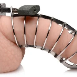 Master Series BDSM Stainless Steel Spiked Chastity Cage