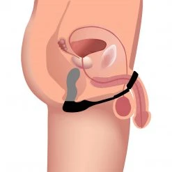 Outlet BunnyHump Store 19 Swell 10X Inflatable And Vibrating Prostate Plug With Cock And Ball Ring