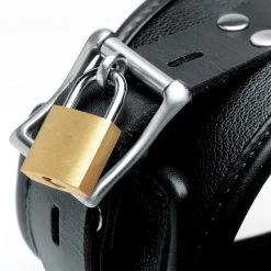 Mistress By Isabella Sinclaire Isabella Sinclaire Leather Posture Collar With Leash BDSM