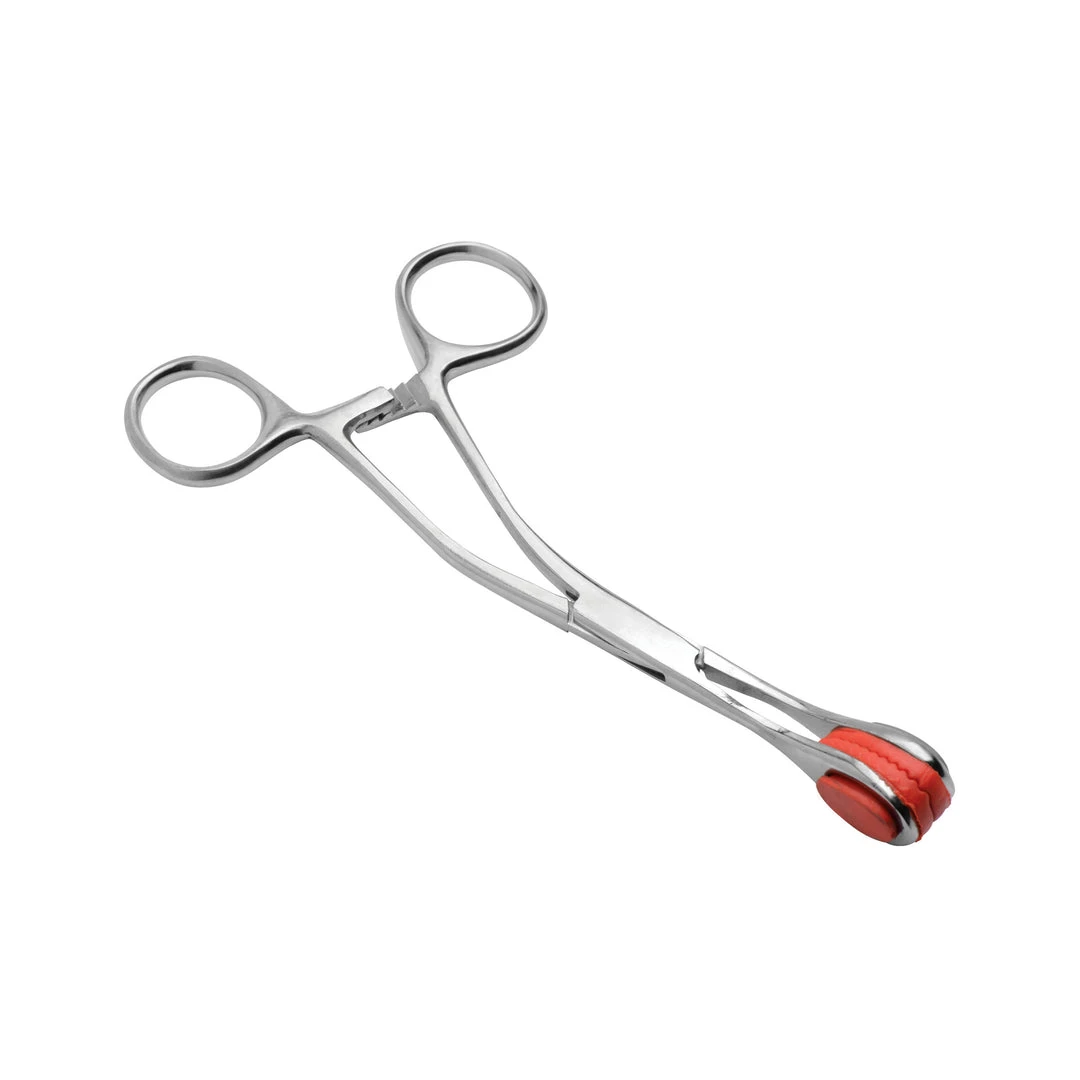 Mistress By Isabella Sinclaire BDSM Isabellas Stainless Steel Forceps 3 Mistress By Isabella Sinclaire BDSM Isabellas Stainless Steel Forceps