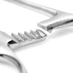 Mistress By Isabella Sinclaire BDSM Isabellas Stainless Steel Forceps 8 Mistress By Isabella Sinclaire BDSM Isabellas Stainless Steel Forceps