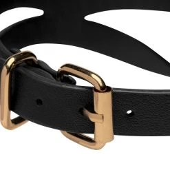 Master Series Black And Gold Collar With Leash Kit BDSM