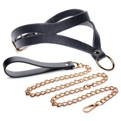 Master Series Black And Gold Collar With Leash Kit BDSM