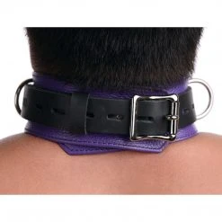 BDSM Strict Leather Deluxe Locking Collar - And Black