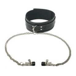 Master Series Coveted Collar And Clamp Union BDSM