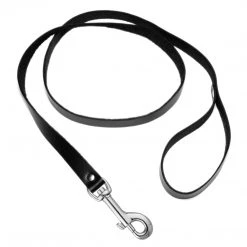 Strict Leather Bad Dog Leash And Spiked Collar Kit BDSM
