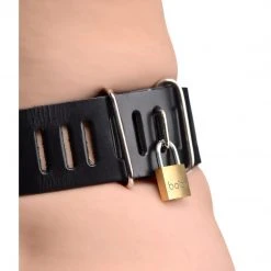 BDSM Strict Leather Female Chastity Belt 5 BDSM Strict Leather Female Chastity Belt