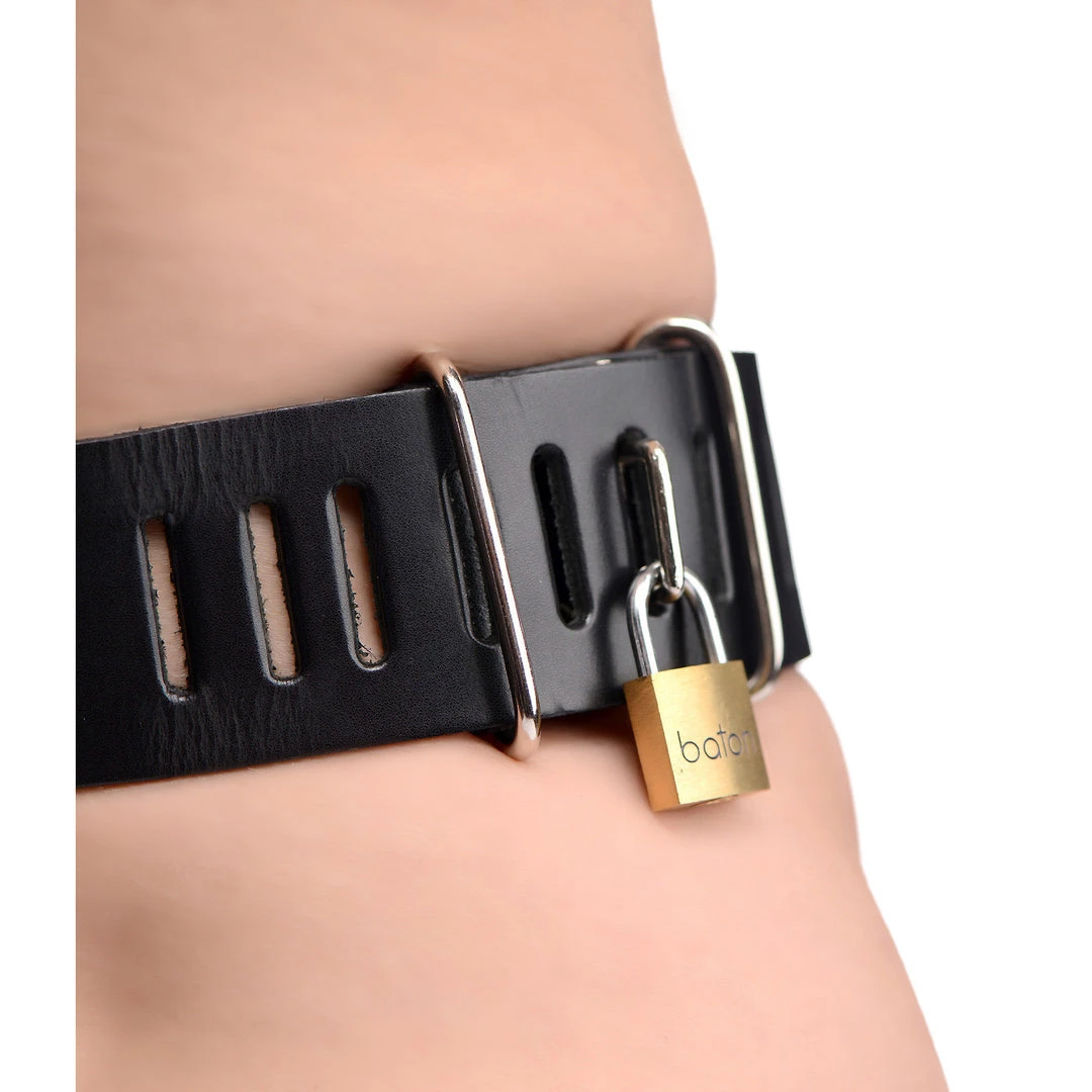 BDSM Strict Leather Female Chastity Belt 3 BDSM Strict Leather Female Chastity Belt