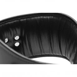 Strict Leather BDSM Padded Leather Locking Posture Collar